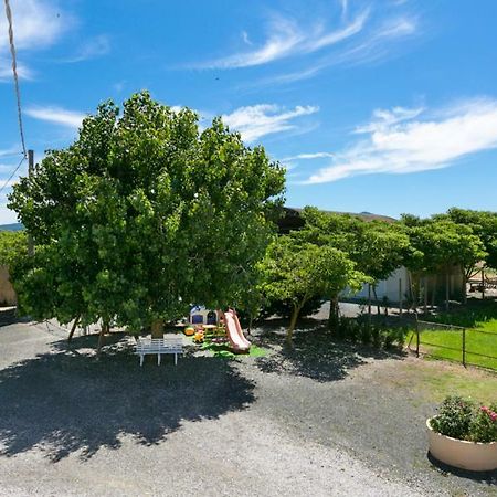 Agriturismo Case Nuove Castellina Marittima Luaran gambar