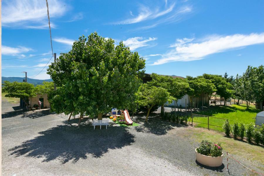 Agriturismo Case Nuove Castellina Marittima Luaran gambar